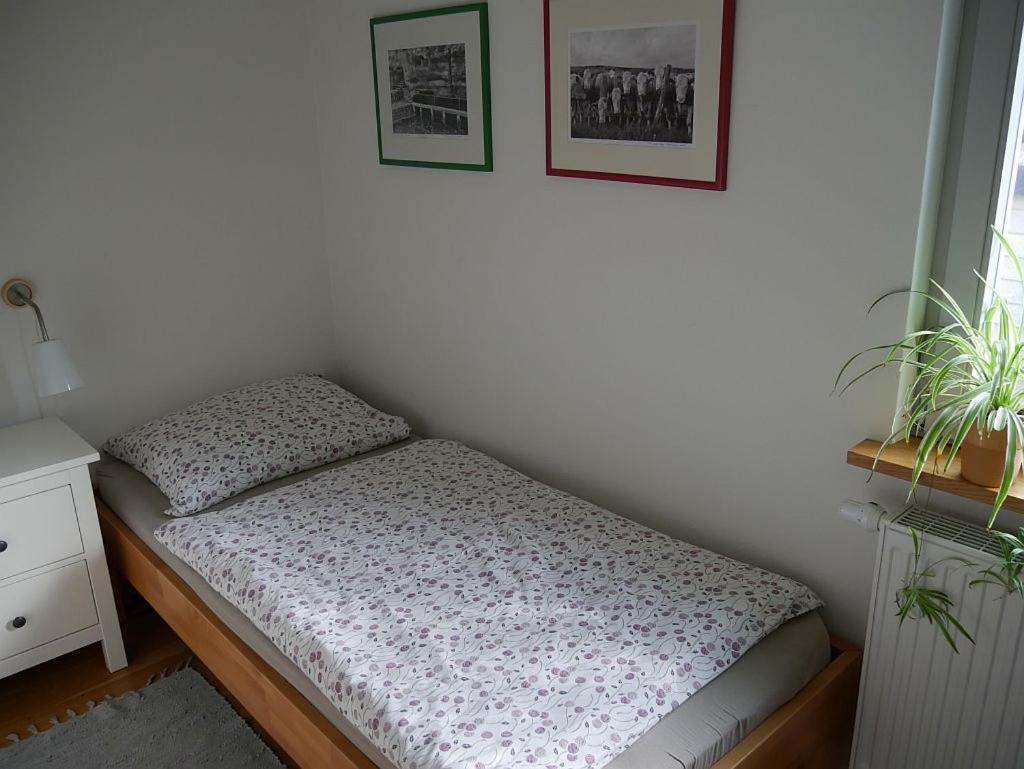 Irreler Muehle Ferienwohnungen Und Ferienhaeuser ภายนอก รูปภาพ